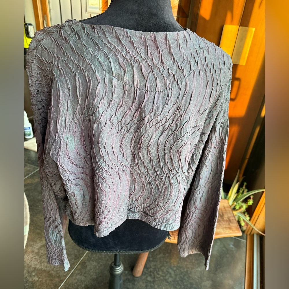 Steel Pony Artisan Silk Crop Jacket, NWOT, 1size - Picture 11 of 16